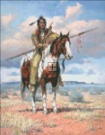 Mini Comanche