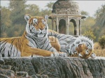 Temple Tigers