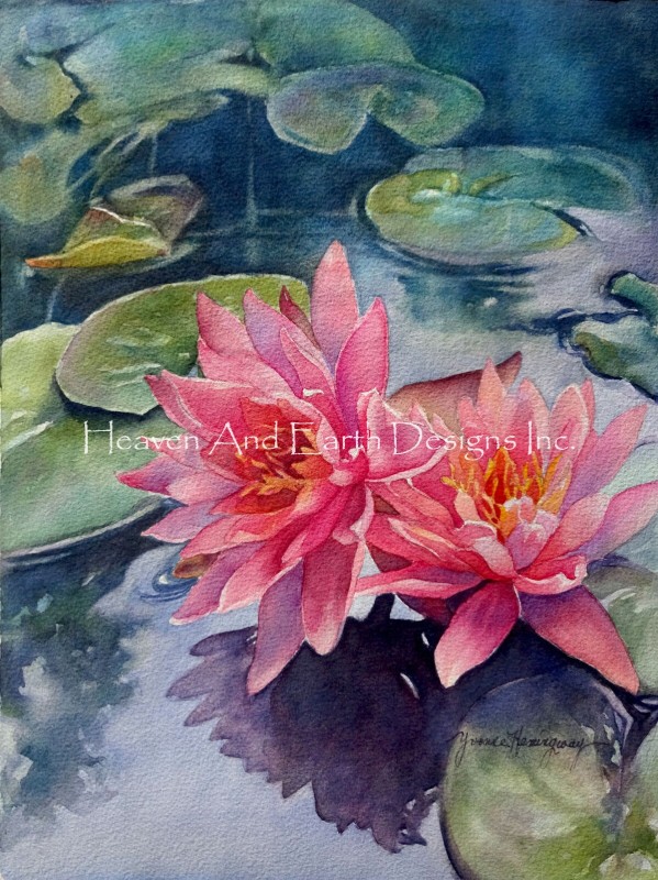 Lotus Reflections - Click Image to Close