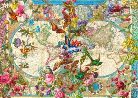 Birds Butterflies and Blooms World Map