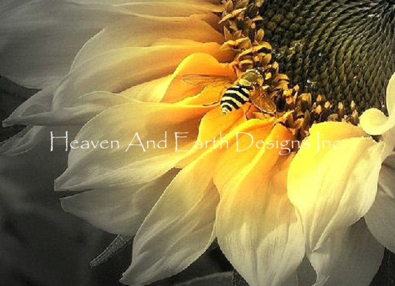 Sunflower Bee Max Colors - Click Image to Close