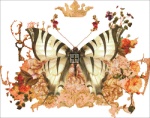 Ornament Butterfly Port Peach NO BK