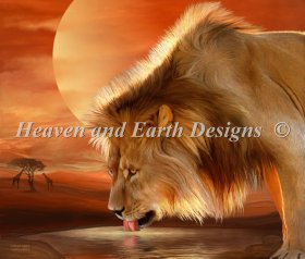 Lion At Sunset Material Pack