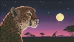 Cheetah Twilight