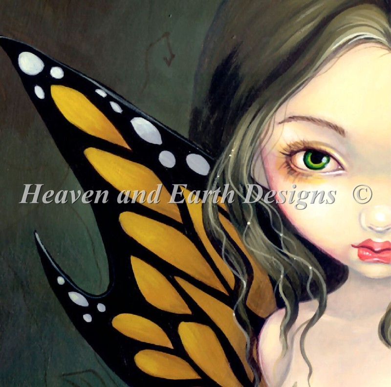 PAB Fairy With Dried Flowers NO BK - Click Image to Close