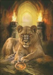 Lioness Color Expansion
