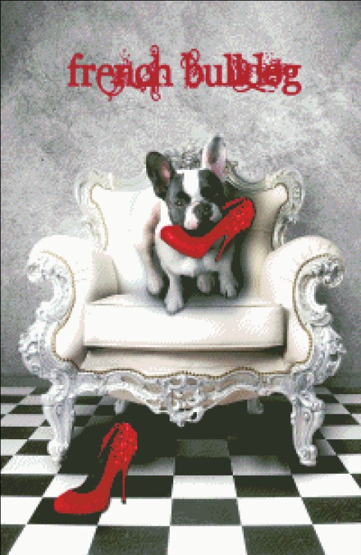 French Bulldog BV Request A Size - Click Image to Close
