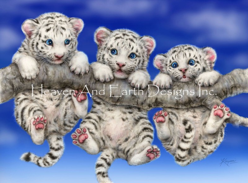 Mini White Tiger Triplets - Click Image to Close