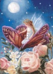 Fairy on Butterfly