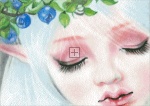 Diamond Painting Canvas - QS Berrylicious Dream