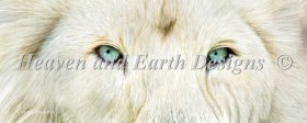Wild Eyes White Lion Material Pack