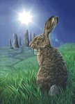 Diamond Painting Canvas - Mini Moon Hare LP