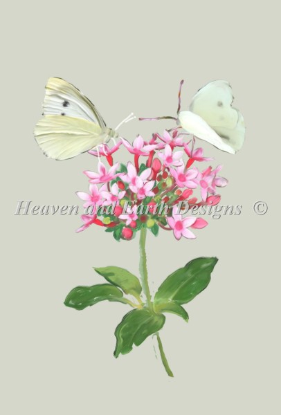 Cabbage Butterfly Material Pack