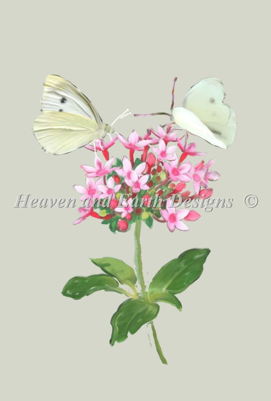 Cabbage Butterfly Material Pack - Click Image to Close