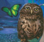 QS Summer Owl