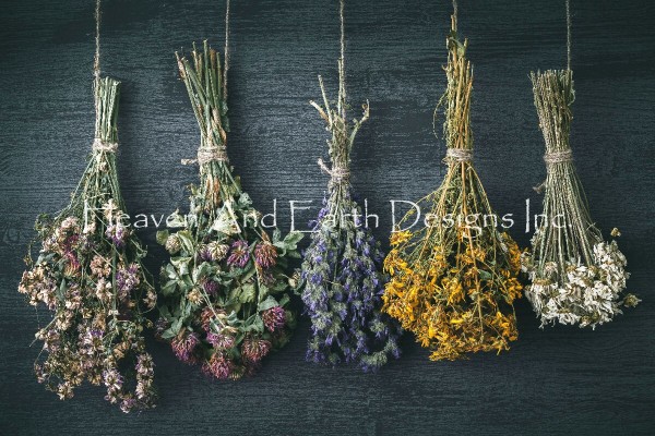 Hanging Bunches Of Medicinal Herb Max Colors
