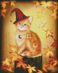Autumn Cat Magic