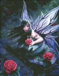 Rose Fairy AS