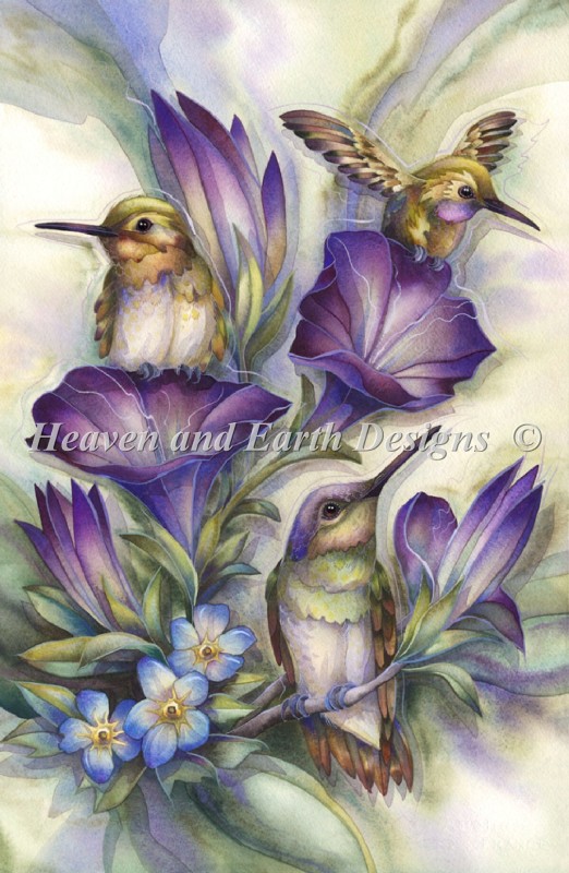 Flower Hummingbirds - Click Image to Close