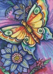 Diamond Painting Canvas - QS Butterfly Two