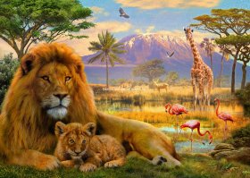 Lion And Cub Material Pack
