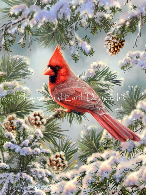 Cardinal In Snowy Pine - Click Image to Close