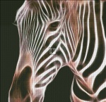 Zebra ES