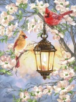 Spring Lantern With Cardinals
