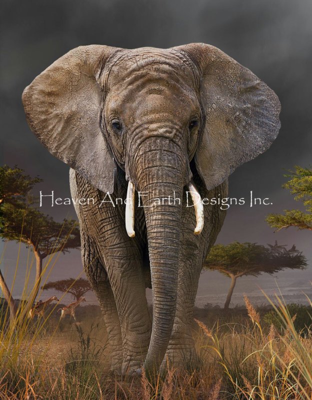 Elephant Walk DP Material Pack - Click Image to Close