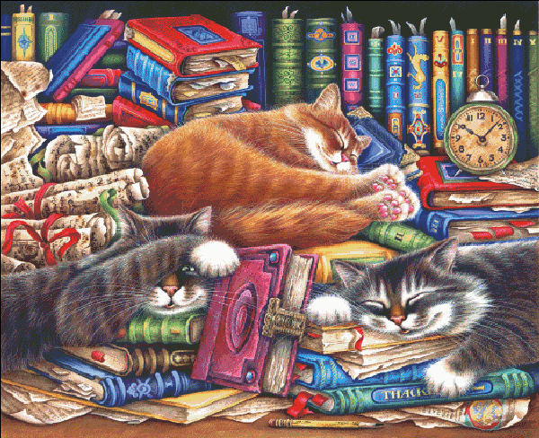 Puzzle Cat Bookshelf